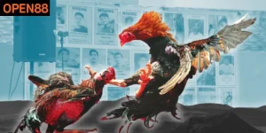 Cách Bắt Kèo Đá Gà Với 3 Bí Quyết “Chuẩn Xác” Tại Open88